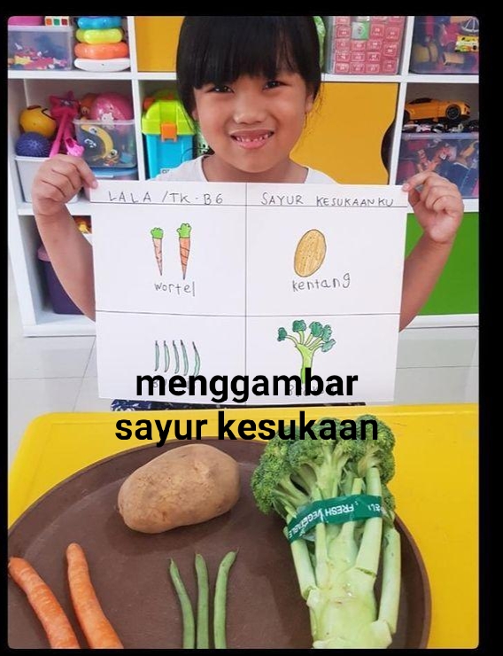 Sampul